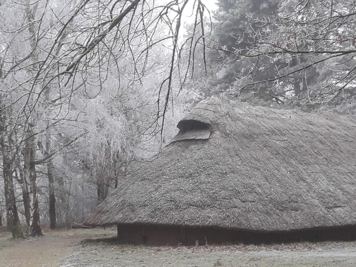 Das Langhaus I im Freilichtmuseum Hitzacker im Winter